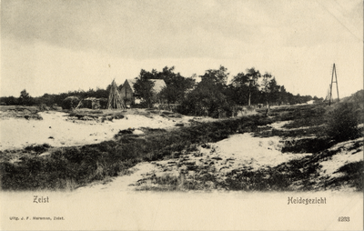 16355 Gezicht op de heide in de sneeuw te Zeist; met op de achtergrond een boerderij.